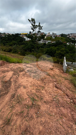 Foto REO1072231