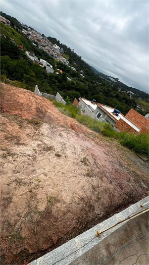 Foto REO1072231