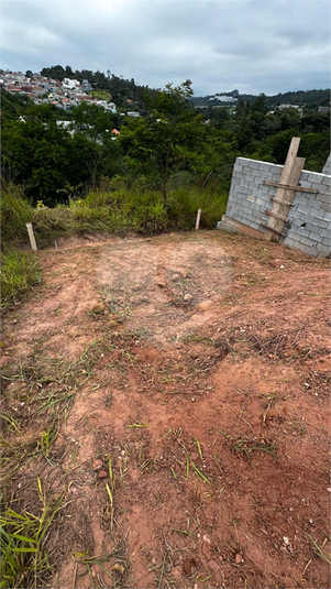 Foto REO1072231