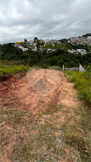 Foto REO1072231