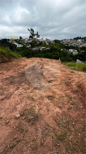 Foto REO1072231