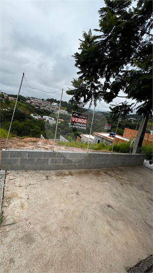 Foto REO1072231