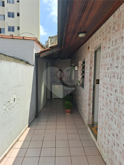 Foto REO1072247