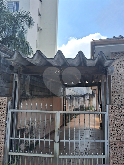 Foto REO1072247