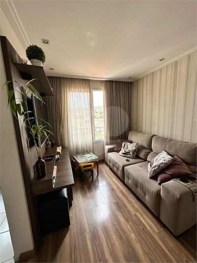 Foto REO1072252