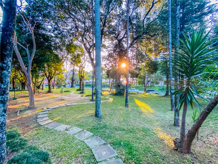 Foto REO1072253