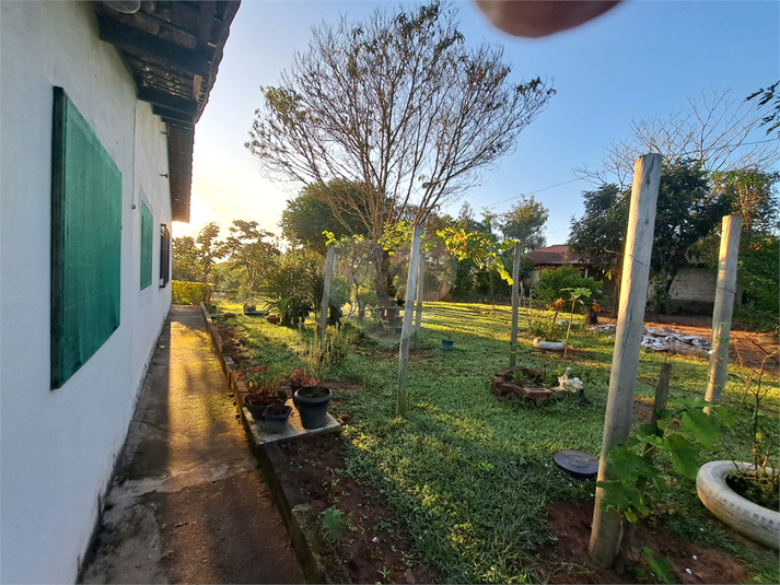 Foto REO1072359