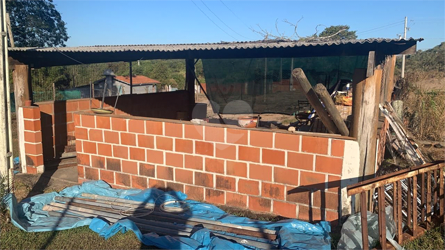 Foto REO1072379