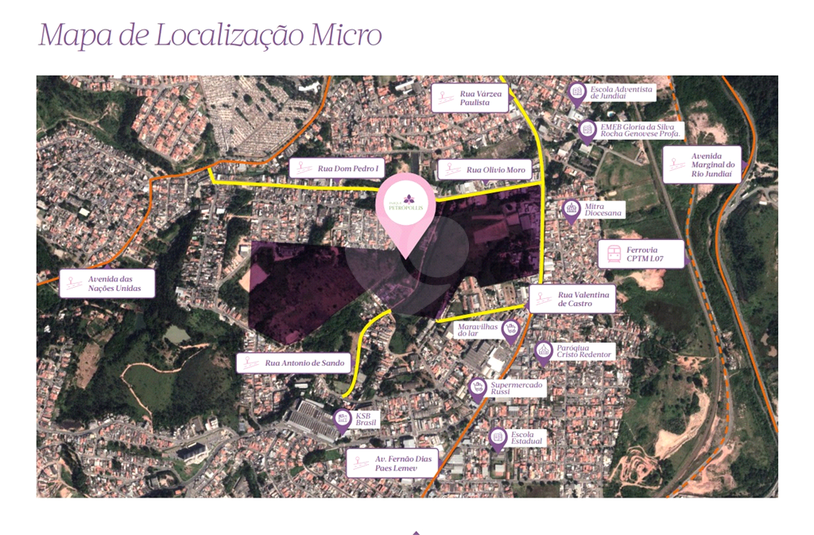 Foto REO1072425