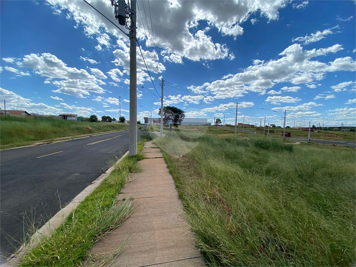 Foto REO1072426