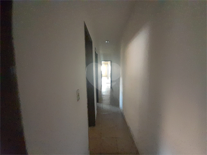 Foto REO1072434