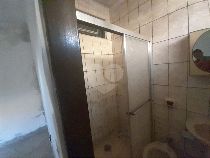 Foto REO1072434