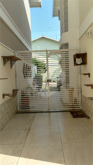 Foto REO1072468