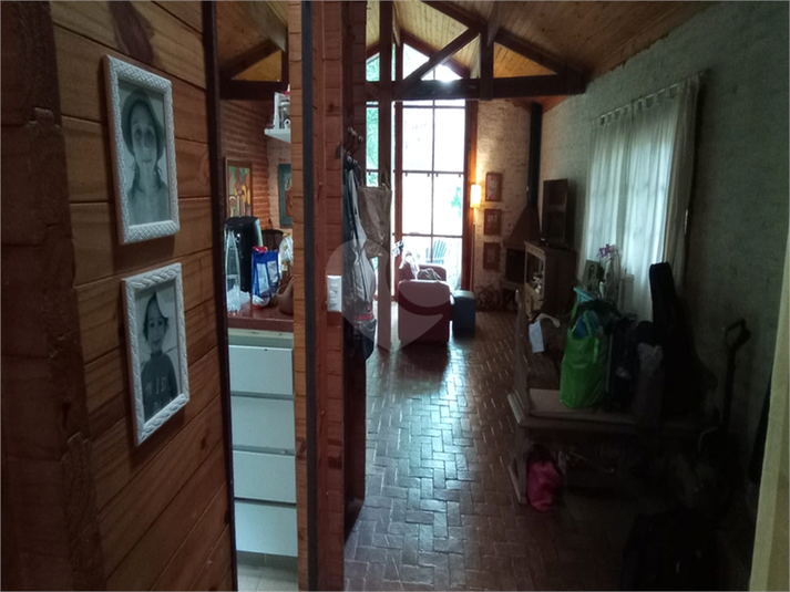 Foto REO1072476
