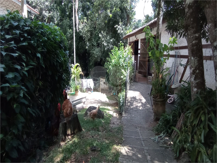 Foto REO1072476
