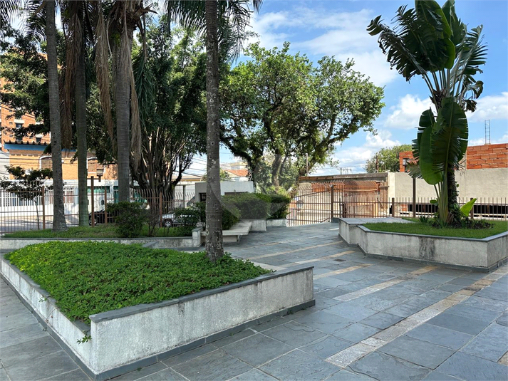 Foto REO1072478