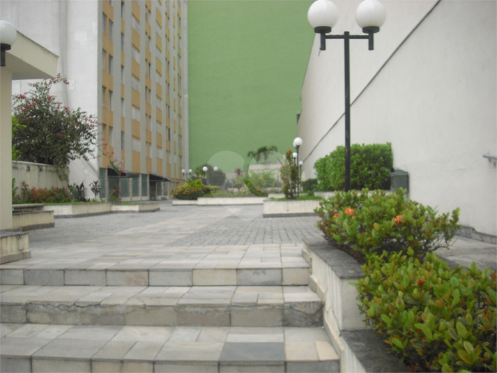 Foto REO1072527
