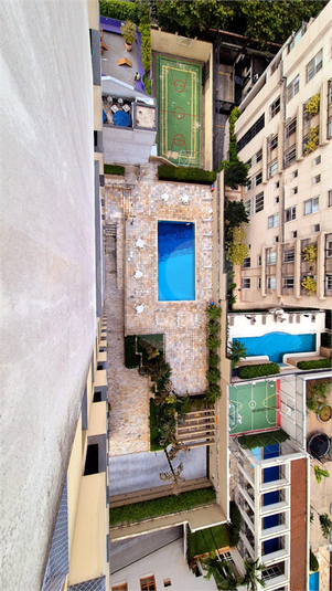 Foto REO1072528