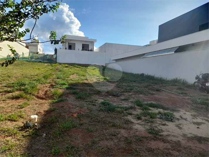 Foto REO1072533
