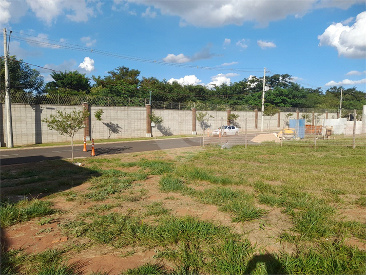 Foto REO1072533