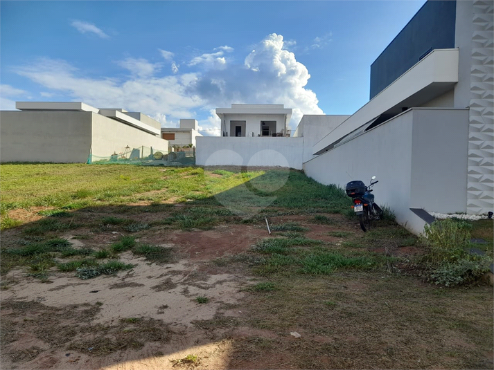 Foto REO1072533