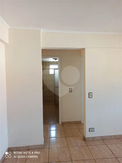 Foto REO1072588