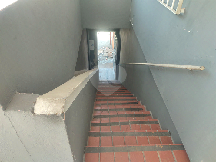 Foto REO1072596