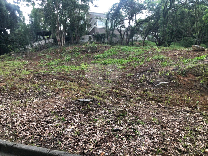Foto REO1072601
