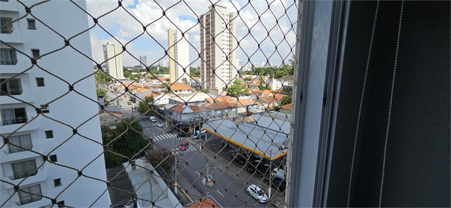 Foto REO1072642