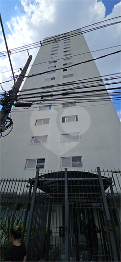 Foto REO1072642