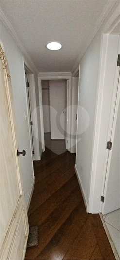 Foto REO1072642