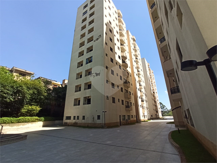 Foto REO1072645