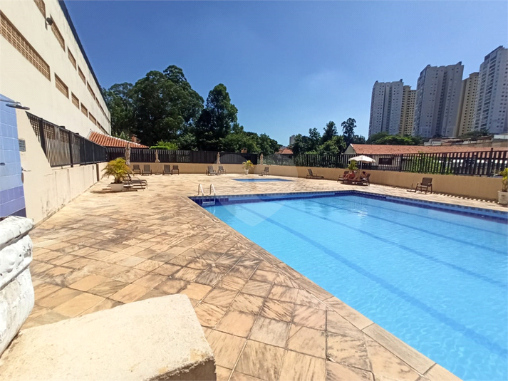 Foto REO1072645