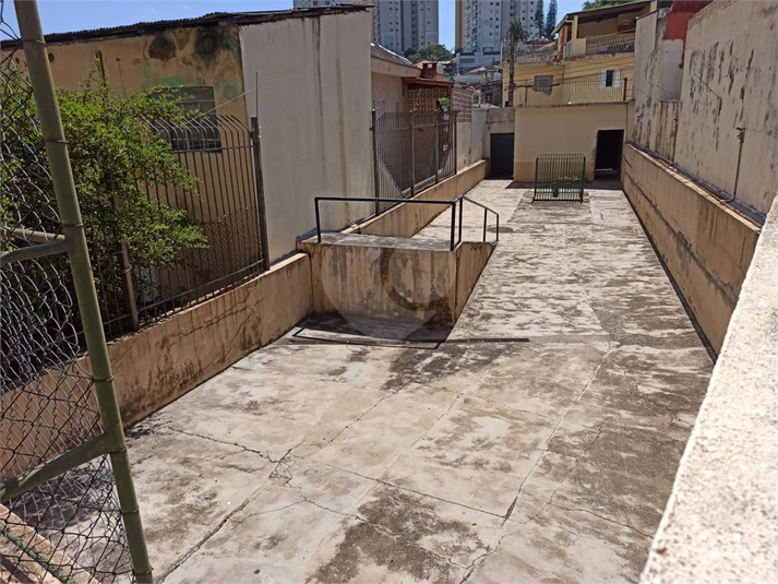 Foto REO1072645