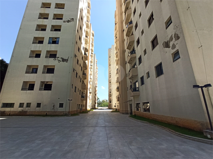 Foto REO1072645
