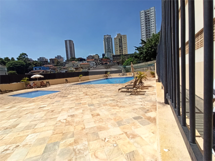 Foto REO1072645
