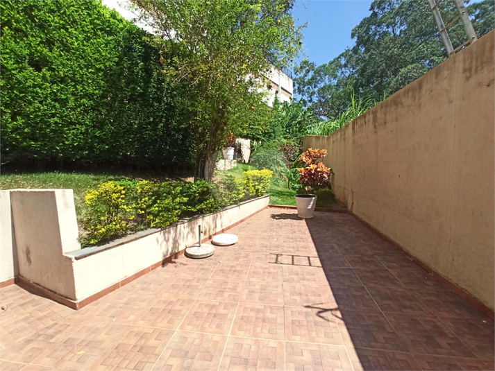 Foto REO1072645