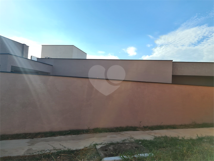 Foto REO1072658