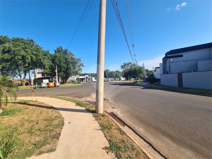 Foto REO1072658