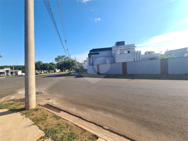 Foto REO1072658