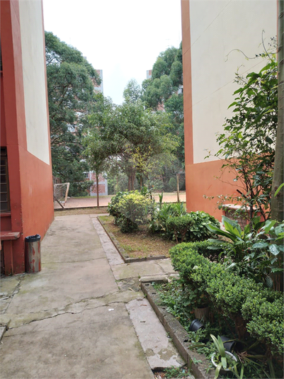 Foto REO1072674