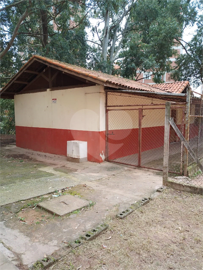 Foto REO1072674