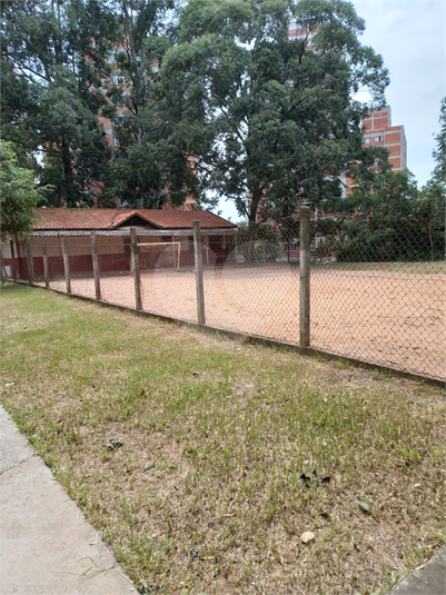 Foto REO1072674