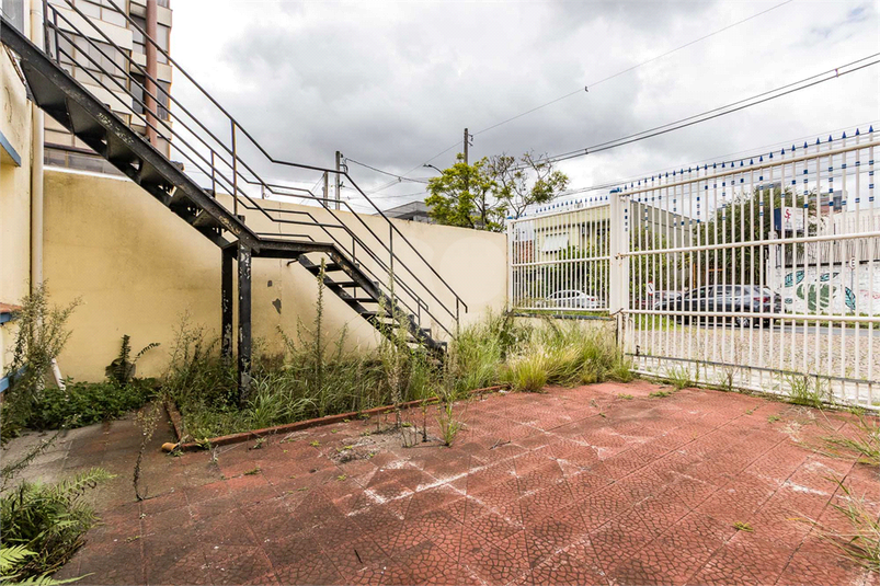 Foto REO1072686