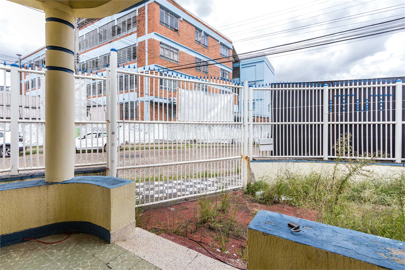 Foto REO1072686