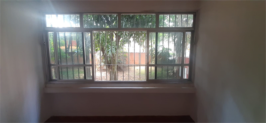 Foto REO1072688