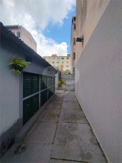 Foto REO1072705