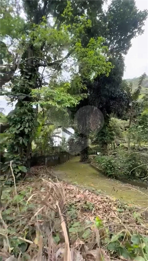 Foto REO1072721