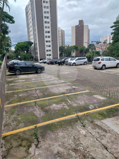 Foto REO1072746