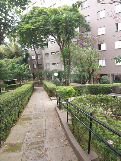 Foto REO1072746